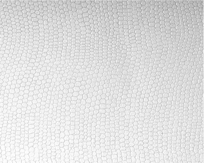 CONSTELLATION JADE, E53 Lizard - Gro&szlig;bogen 70 x 100 cm