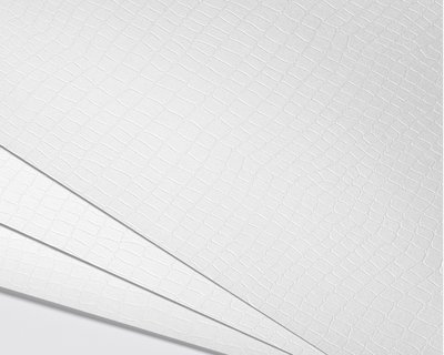 CONSTELLATION JADE, E54 Armadillo - Gro&szlig;bogen 70 x 100 cm