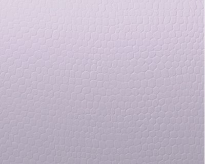 CONSTELLATION SNOW, E53 Lizard - Gro&szlig;bogen 72 x 102 cm