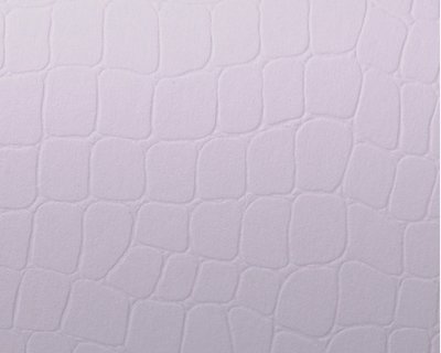 CONSTELLATION SNOW, E54 Armadillo - Gro&szlig;bogen 72 x 102 cm