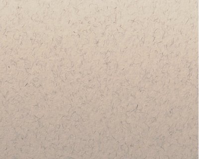 TINTORETTO CEYLON, Zenzero - Gro&szlig;bogen 72 x 101 cm