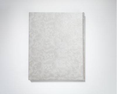 Notizbuch L "CONSTELLATION JADE, Riccio"