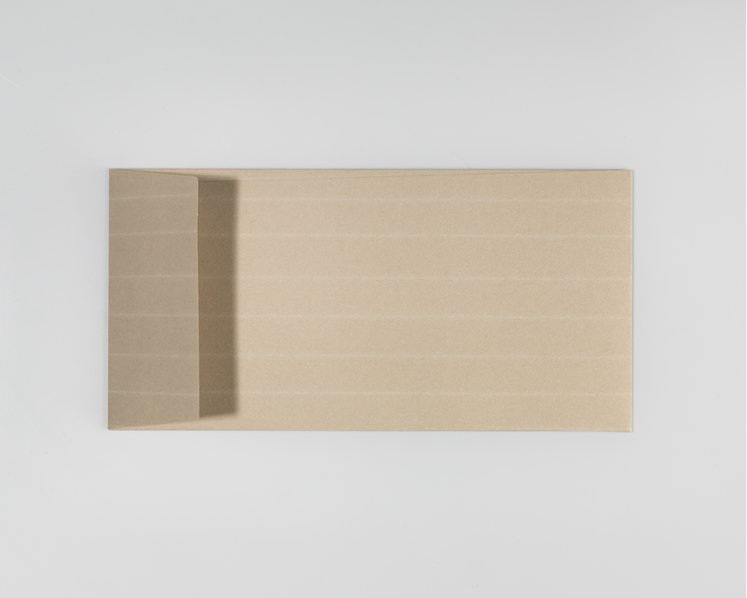 SAVILE ROW PINSTRIPE, Camel - DIN lang 22 x 11 cm