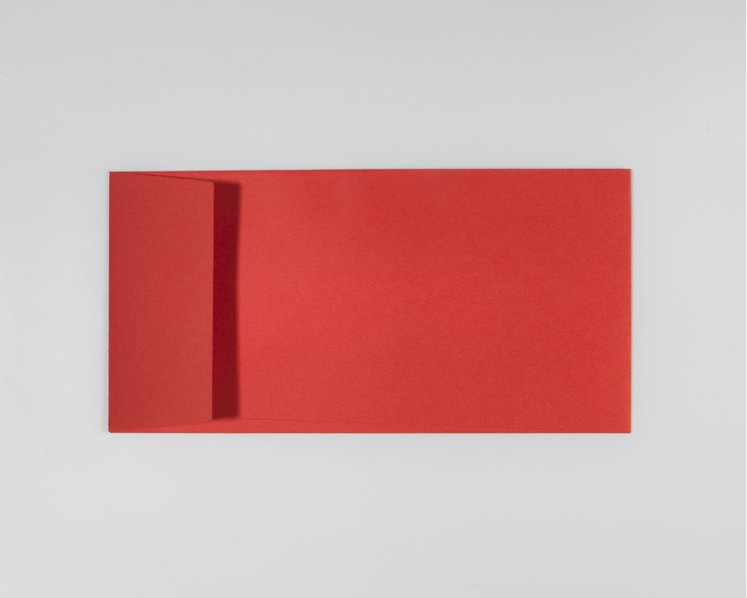 SIRIO COLOR, Lampone - DIN lang 22 x 11 cm