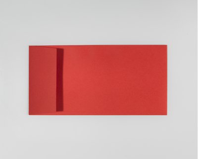 SIRIO COLOR, Lampone - DIN lang 22 x 11 cm