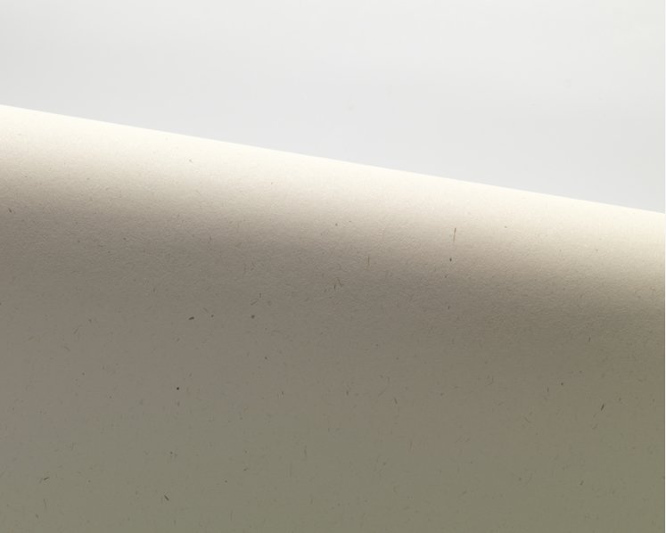 WOODSTOCK, Betulla - Gro&szlig;bogen 70 x 100 cm