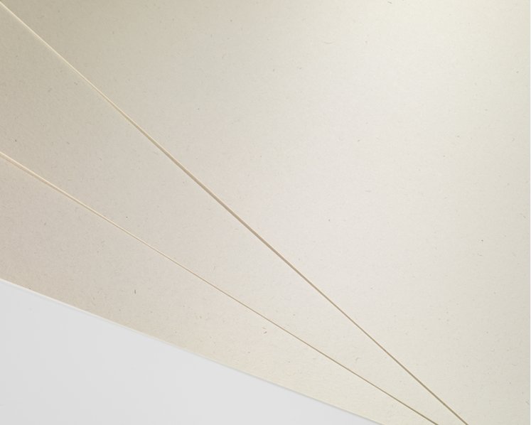 WOODSTOCK, Betulla - DIN SRA3 45 x 32 cm