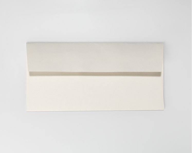 WOODSTOCK, Grigio - DIN lang 11 x 22 cm