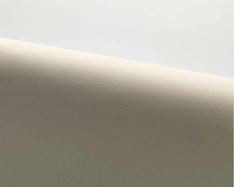 WOODSTOCK, Grigio - Gro&szlig;bogen 70 x 100 cm